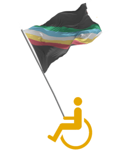 Icon of a person in a wheelchair holding a pole with the disability pride flag